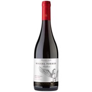 Torres Andica Pinot Noir Gran Reserva Bio fles 0,75L